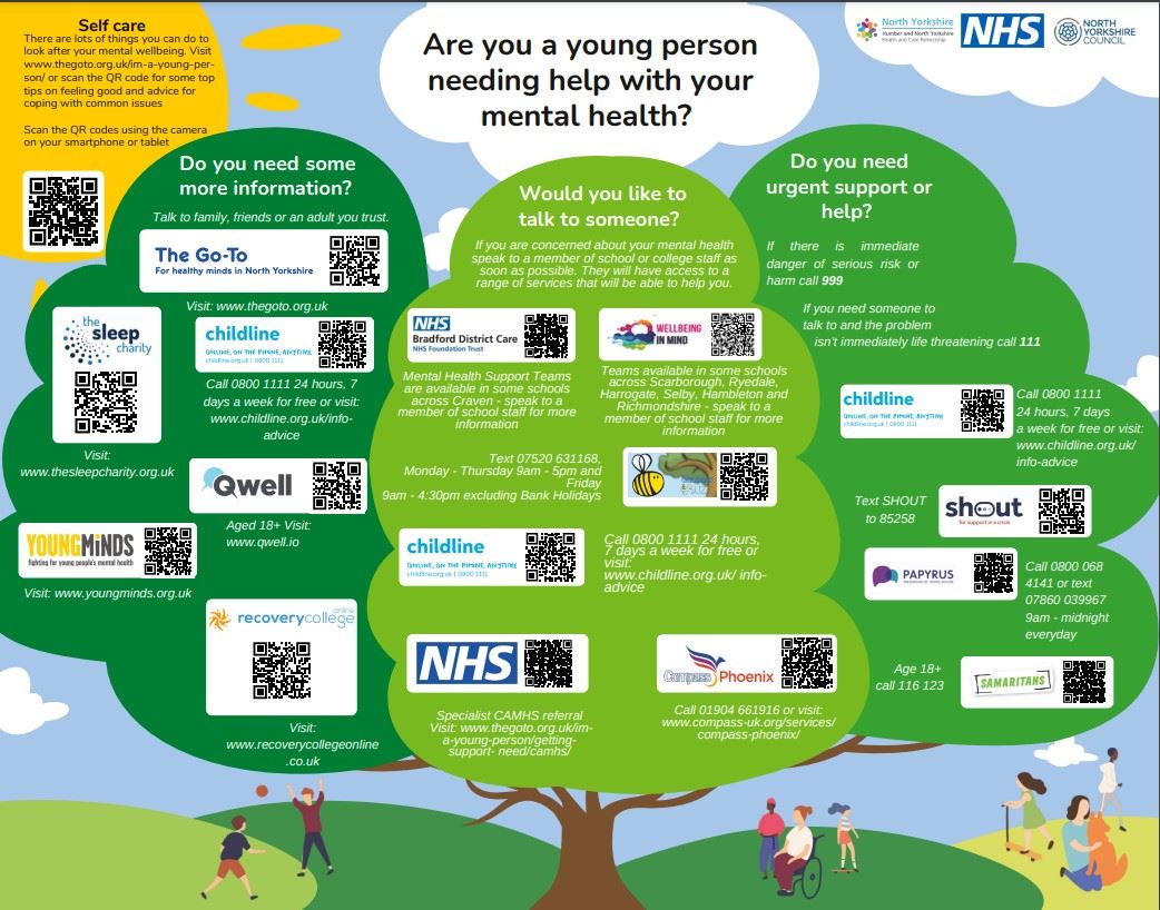 Young Person Mental Health